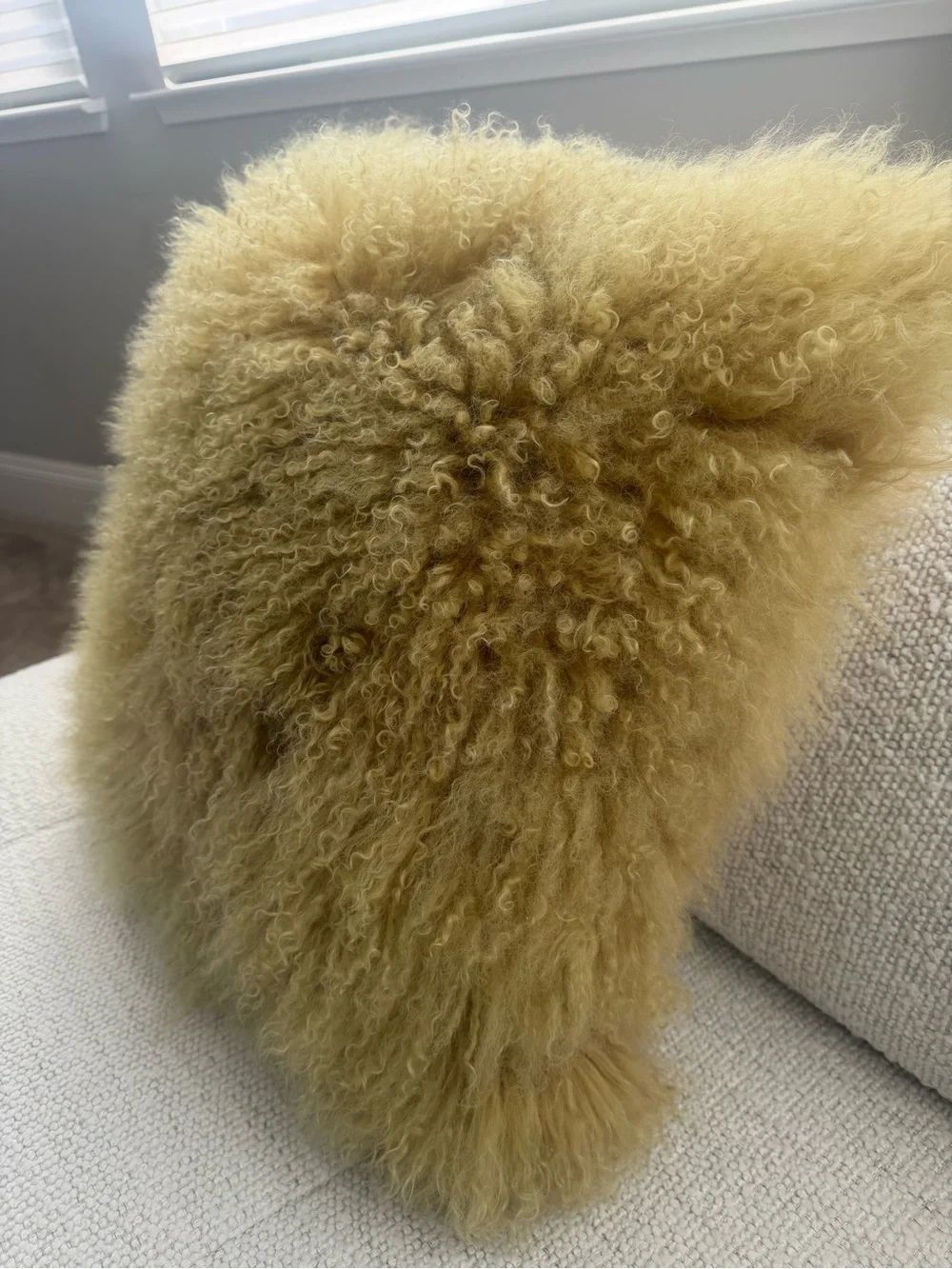 N/A soft mongolian
